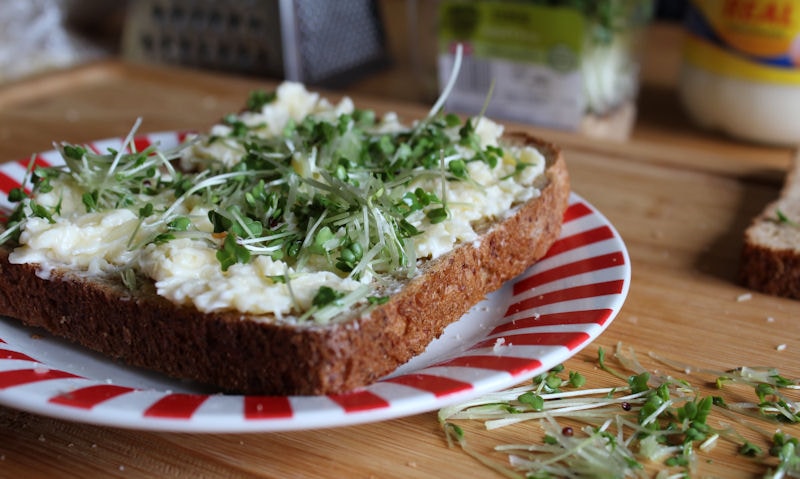 Freshly chopped salad cress on sandwich