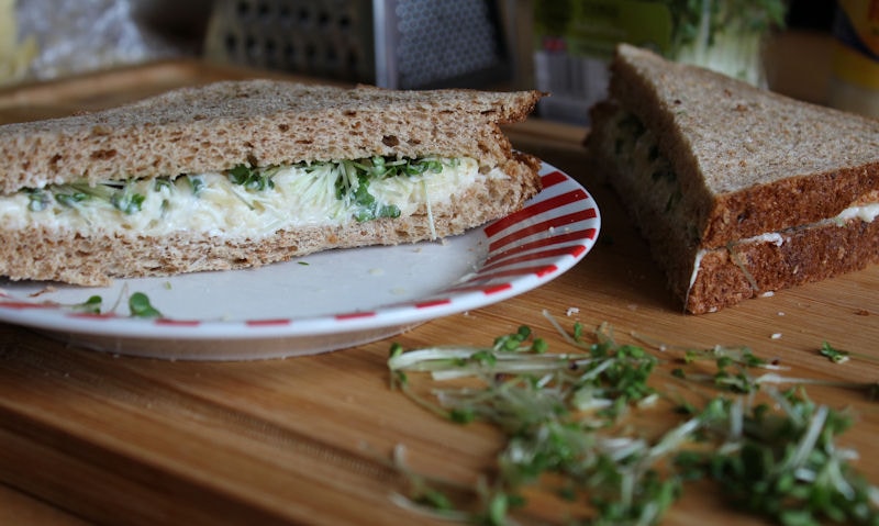 Cheese and mayo sandwich on plate