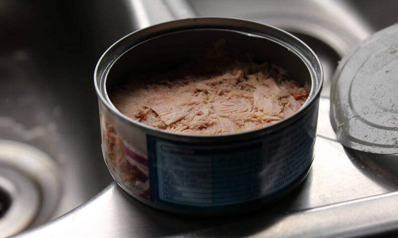 Open can of tuna chunks resting on rim of sink